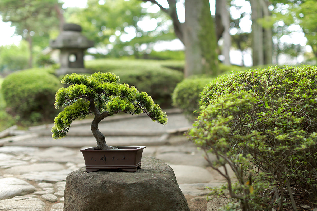 アーティフィシャルBONSAI（A-BONSAI）工芸盆栽 – J-和