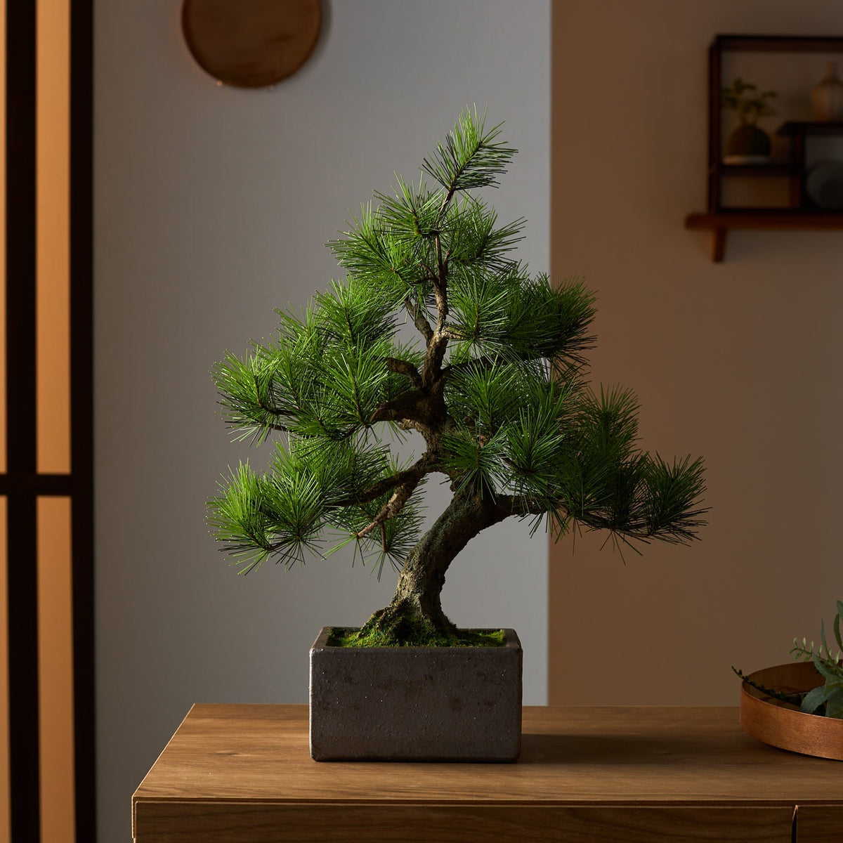 J-和 インターナショナルストア｜日本の和 〜 工芸盆栽 “A