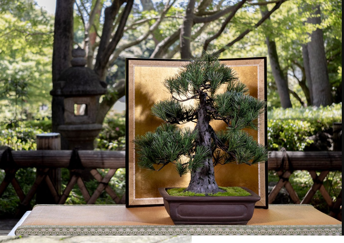 Information – J-和インターナショナルストア