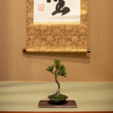 Art Craft Bonsai (25cm high)
