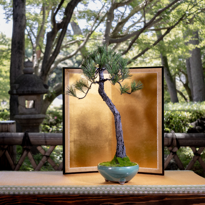 輪島塗　松本遊人作　高足盆 A-BONSAI Bunjin （黒松 高50㎝） – J-和インターナショナルストア