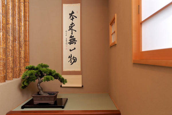 IMG_0050_600x.jpg?v=1638680799