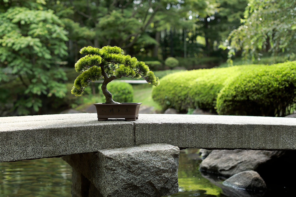 日本庭園の小川に掛かった石橋の上に佇む、アーティフィシャル盆栽（人工盆栽）のA-BONSAI#01です。五葉松の葉が日本庭園の緑にまけず映えています。