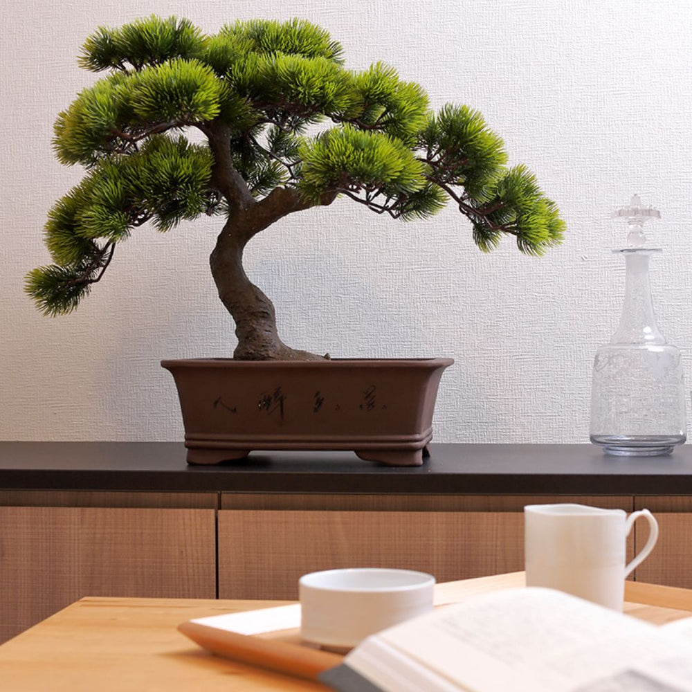 A-BONSAI Moyogi Goyomatsu （五葉松 高45cm） – J-和